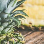 Colombia exportará su primer cargamento de piña a Canadá