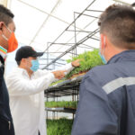 El Sena instala en Fonseca unidad de producción de forraje hidropónico