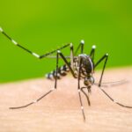 Hospital de Riohacha alerta por aumentos de casos de dengue