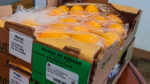  Mango de azúcar colombiano en mercado estadounidense  