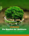 5 de junio: Día Mundial del Ambiente 2023
