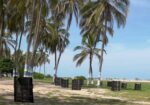 1.600 palmeras son sembradas en las playas urbanas de Riohacha