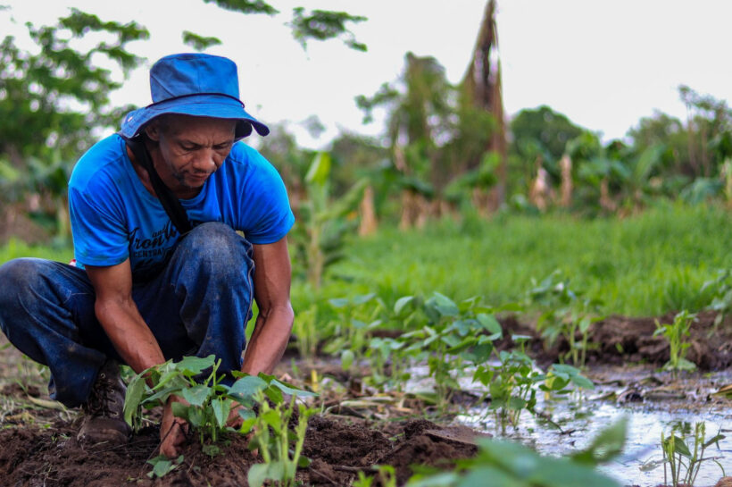 Agroecología: