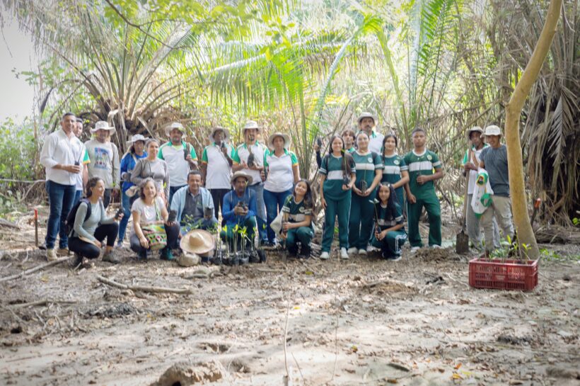 Corpoguajira, Petrobras y Más Bosques sembraron 650 mangles en Palomino para proteger el ecosistema y combatir la erosión costera