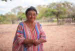 Los hijos del hilo
