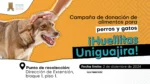 Campana-de-donacion-de-alimentos-Huellitas-Uniguajira